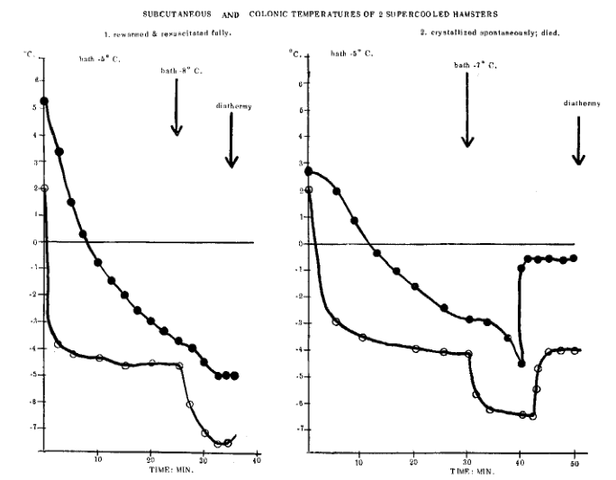 Ликбез по Крионике: простым языком на сложную тему - 6